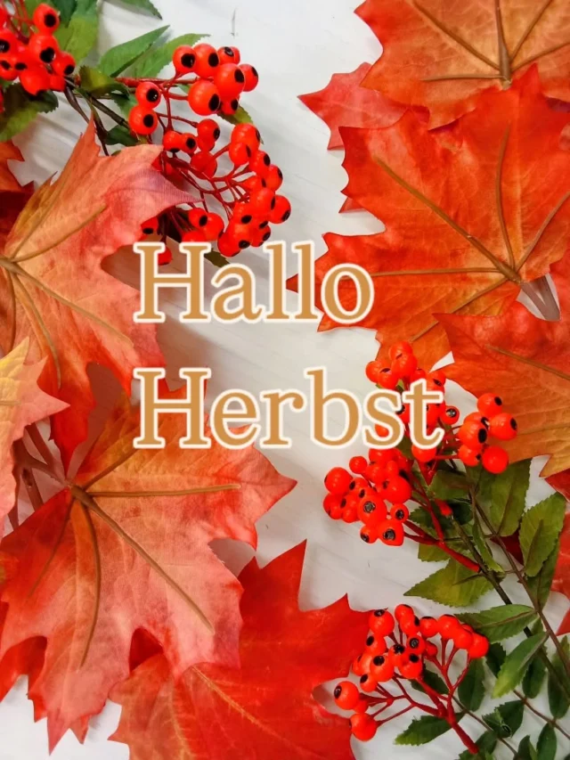 Inspiration für deine neue Herbst Dekoration 🏵️🌿