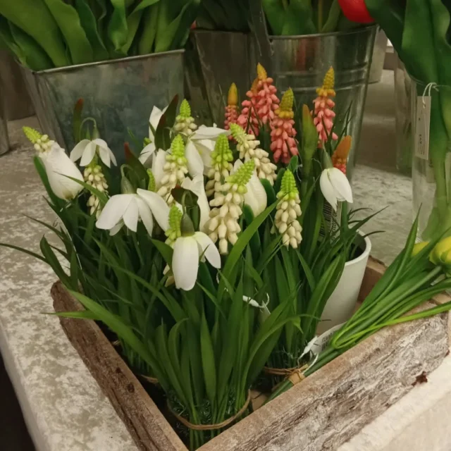 Ostern und Frühling entdecken #ostern #easter #frühling #spring